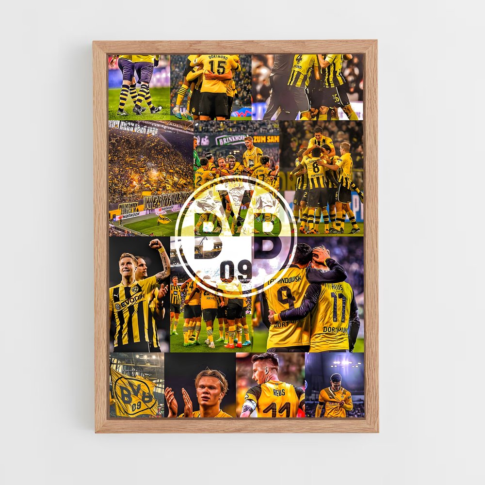 Poster Borussia Fever (vue 4)